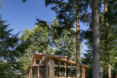 Serendipity thumbnail 9