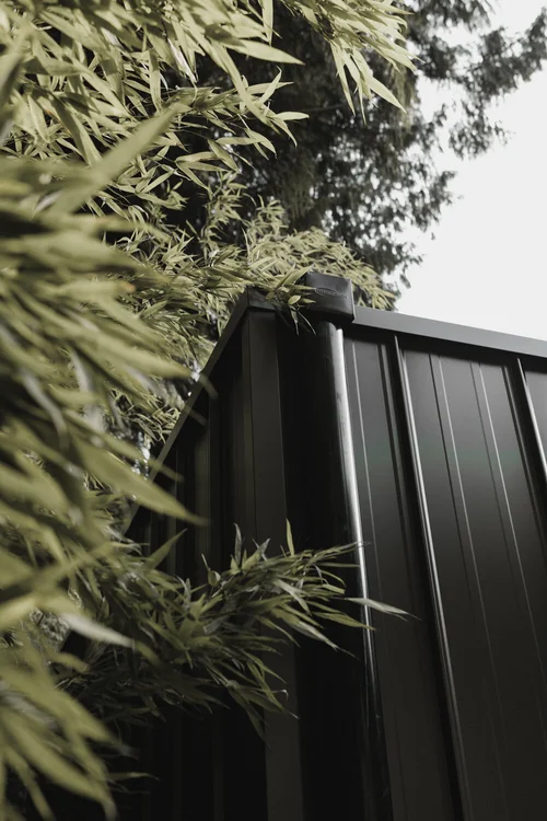 Model 146 thumbnail 4