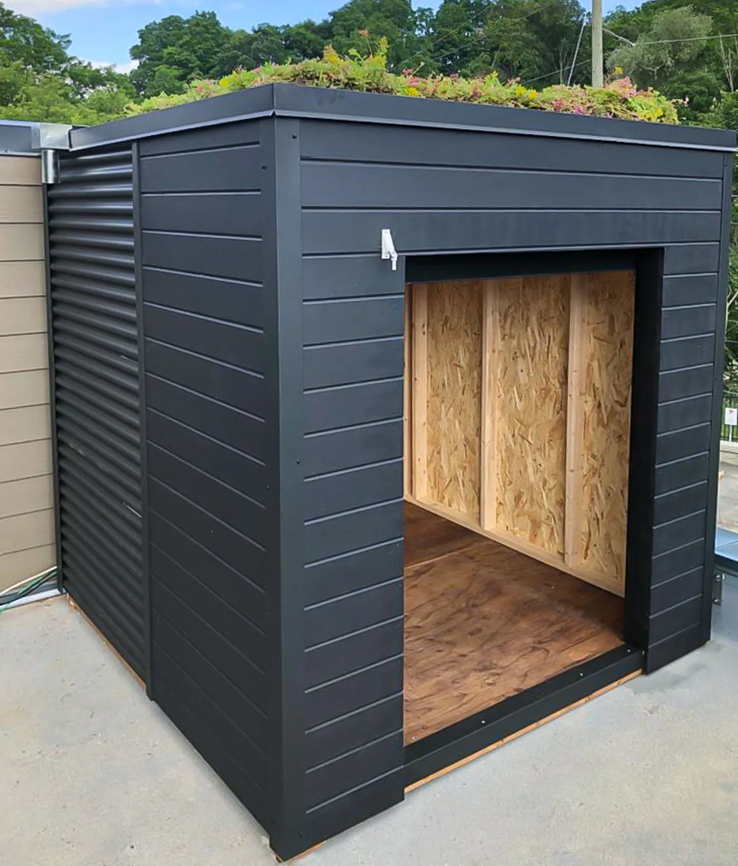 GREEN ROOF SHED thumbnail 4
