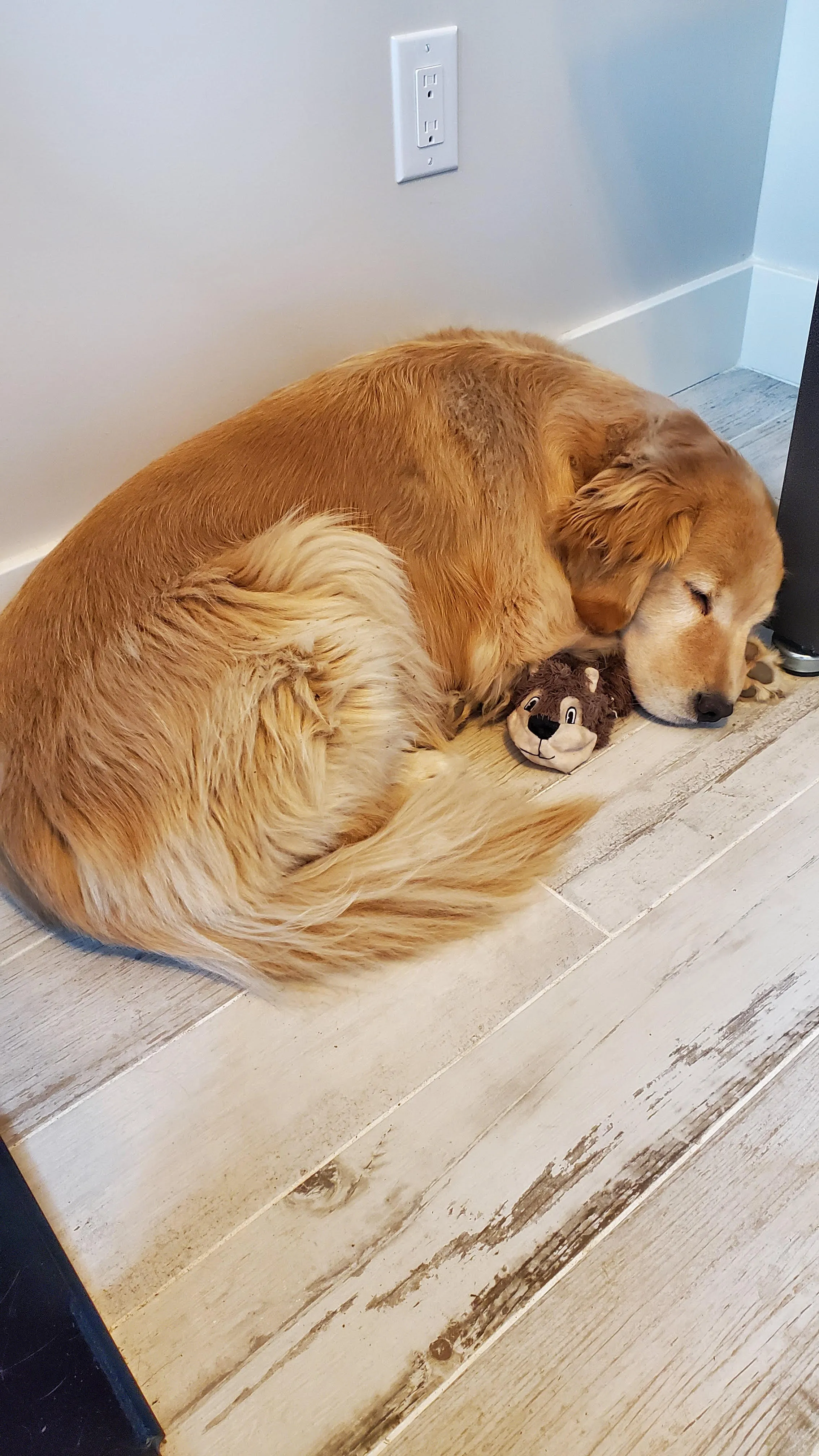 Quaint Office in Mississauga thumbnail 5