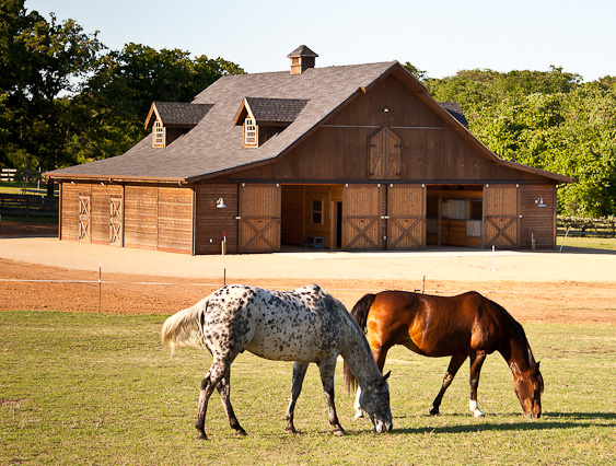 Equestrian 60 ft thumbnail 31