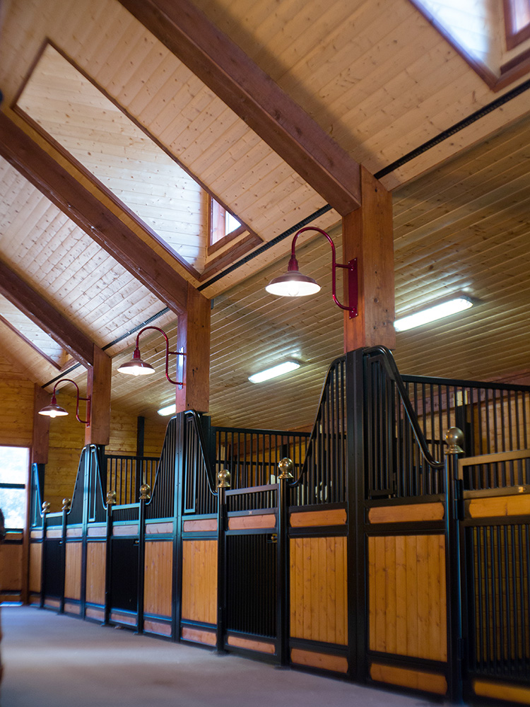 Equestrian 60 ft thumbnail 6