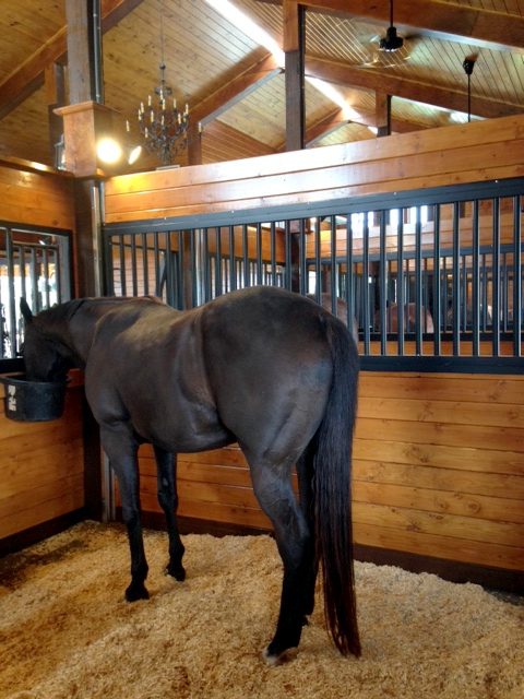 High Sierra 48 ft thumbnail 7