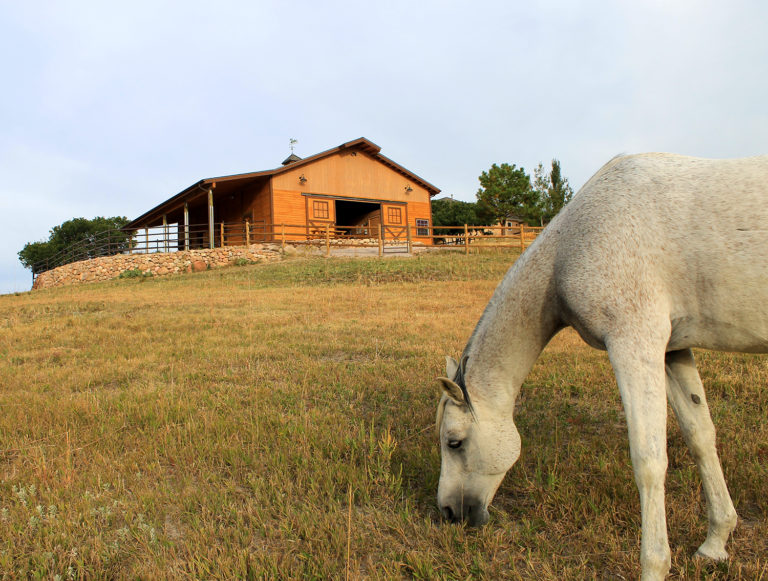 High Sierra 60 ft thumbnail 21