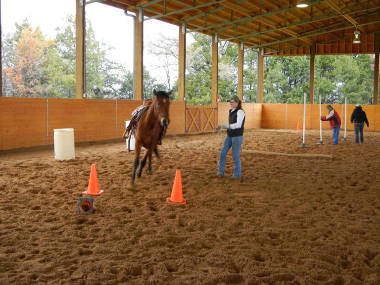 Meadows 72 ft thumbnail 3