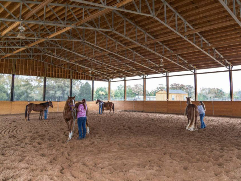 Meadows 72 ft thumbnail 6