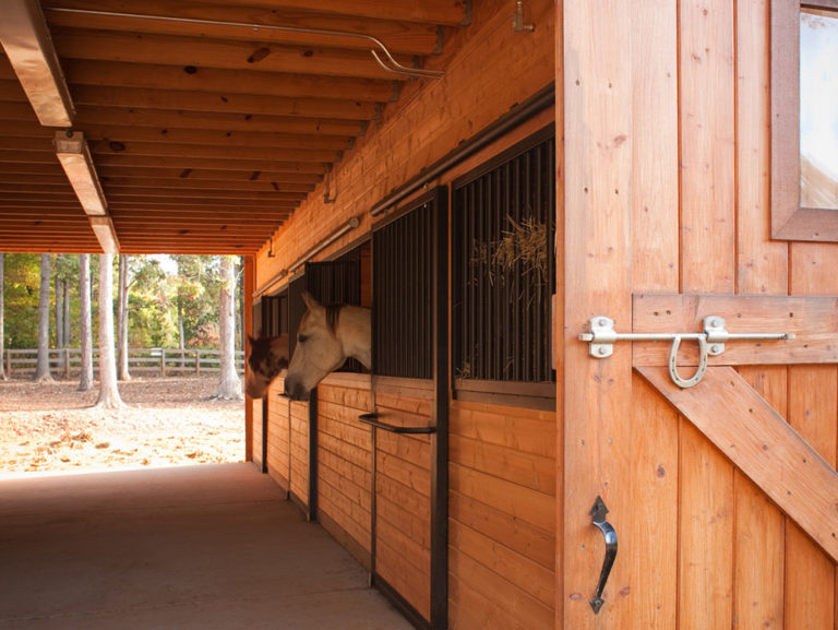 Olympic 36 ft thumbnail 14