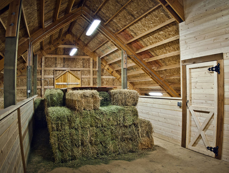 Olympic 60 ft thumbnail 18