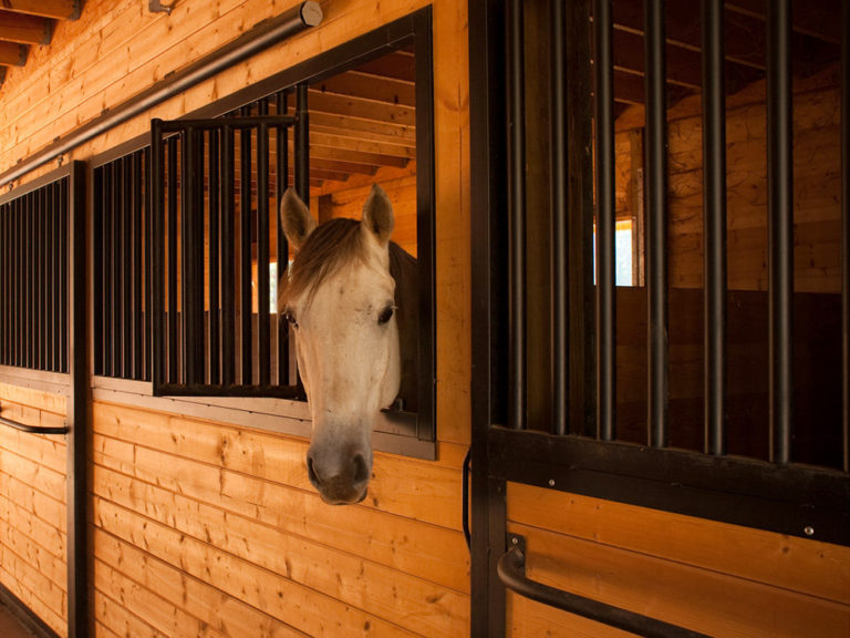 Olympic 72 ft thumbnail 15