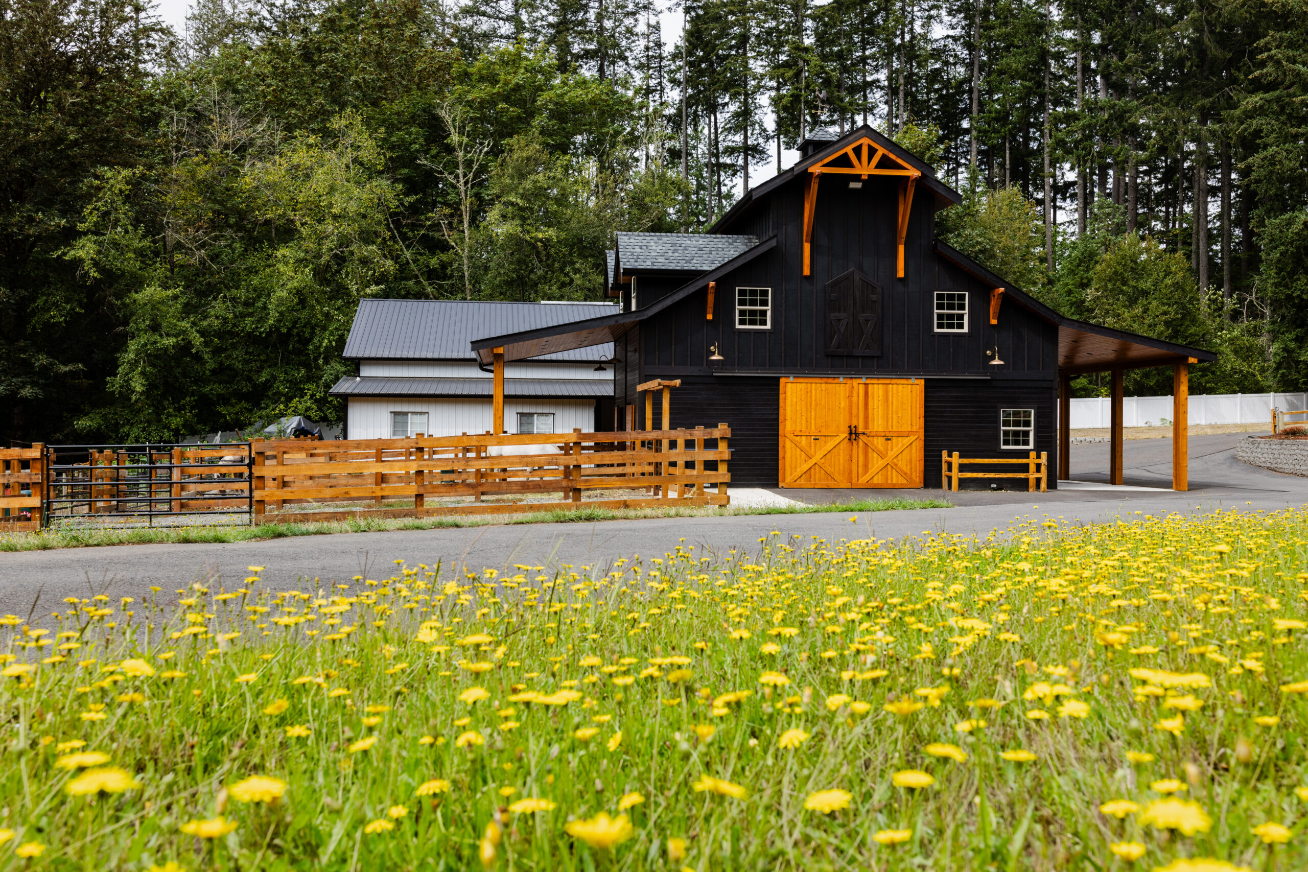 Teton 24 ft thumbnail 5