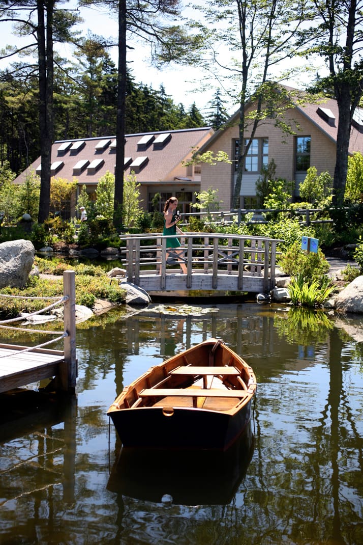 Coastal Maine Botanical Gardens thumbnail 3