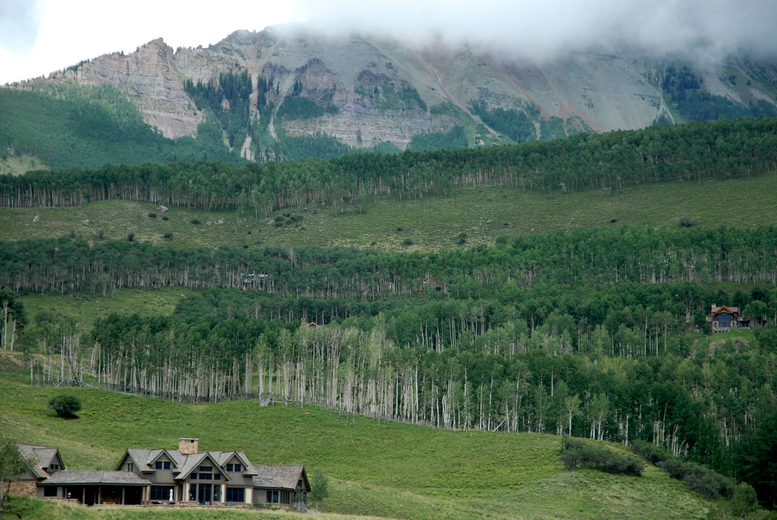 Looks and Livability thumbnail 3