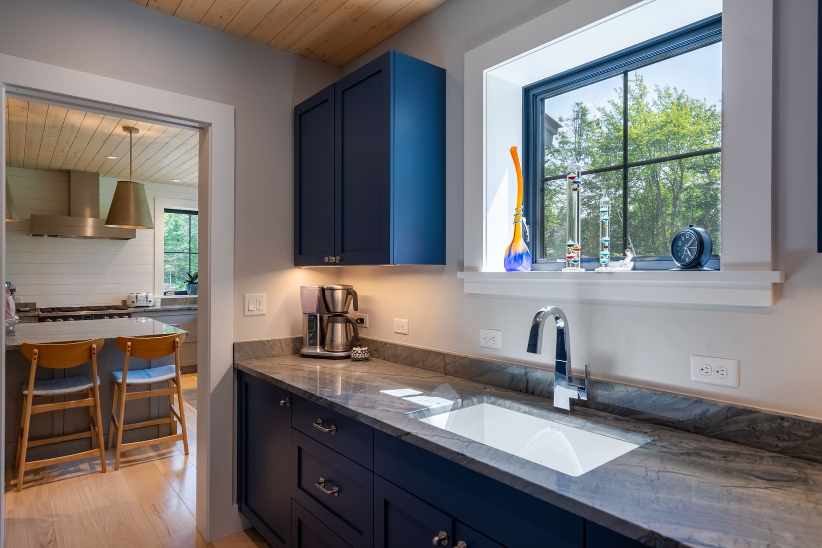 Maine Woodland thumbnail 10