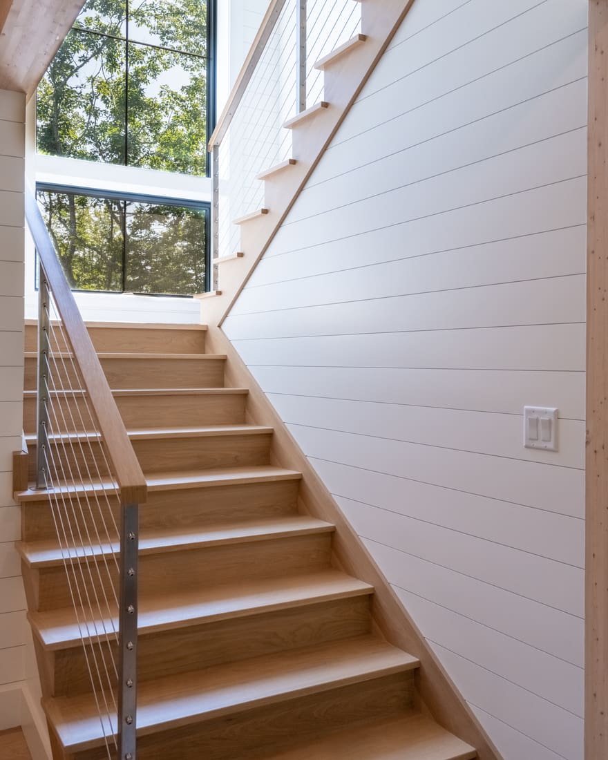 Maine Woodland thumbnail 7