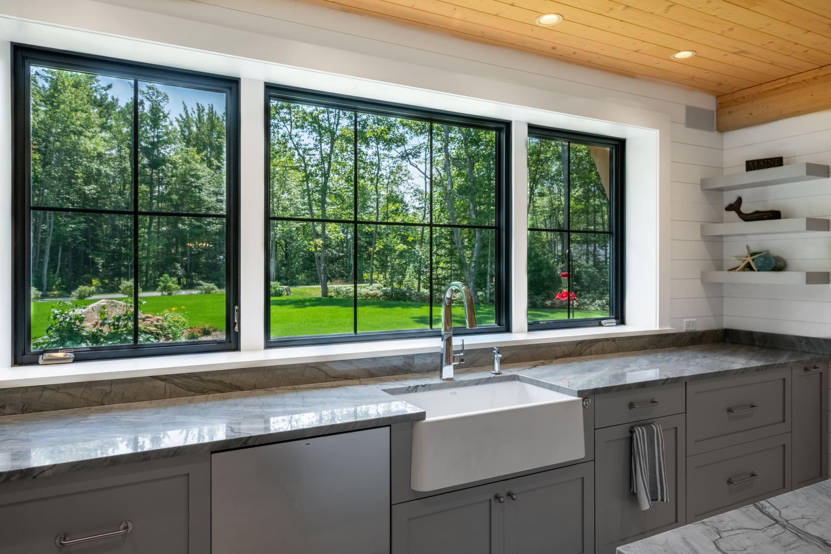 Maine Woodland thumbnail 9