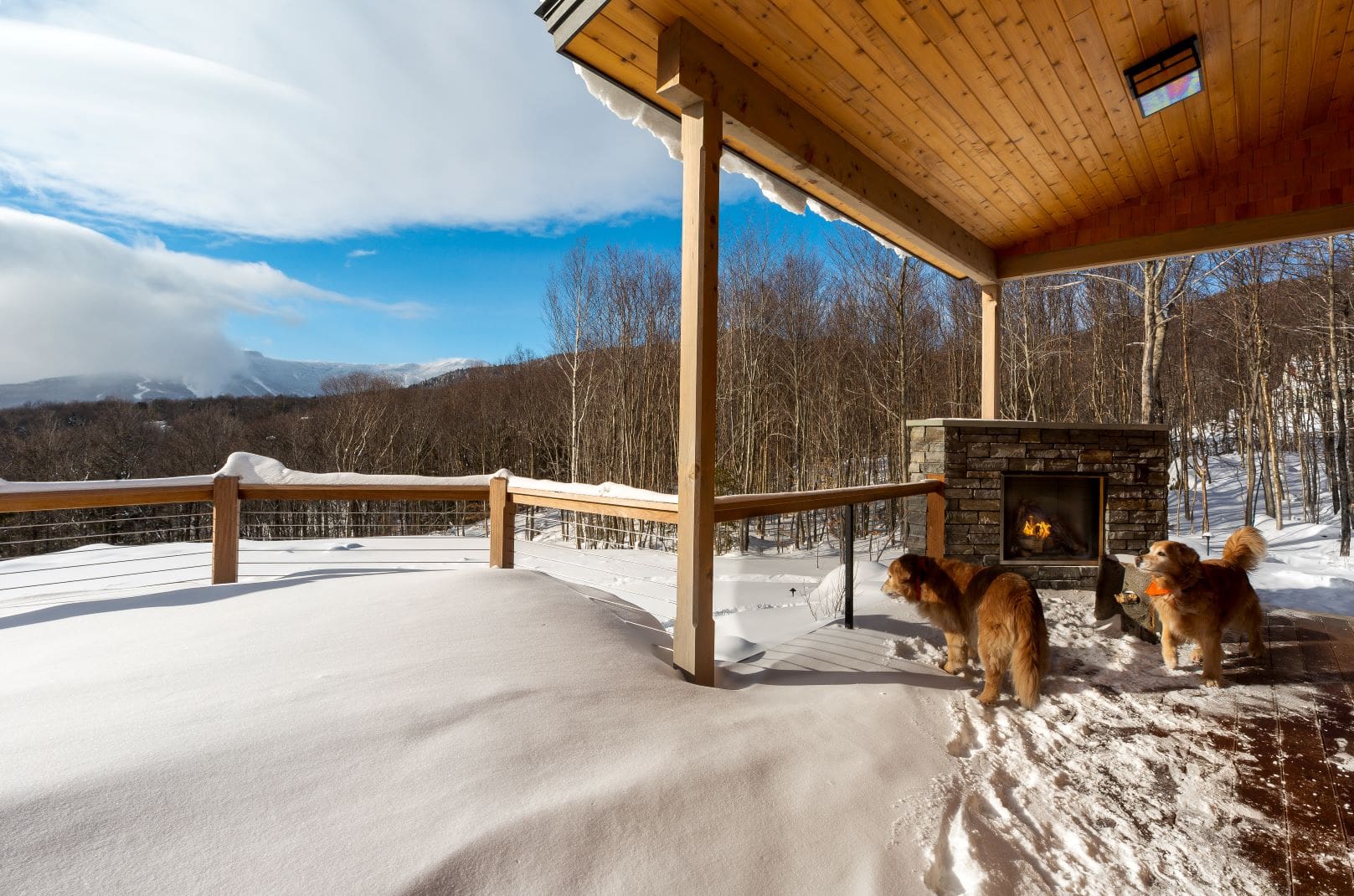 Stowe Sanctuary thumbnail 4