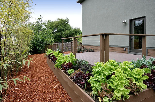 Berkeley Ca thumbnail 8