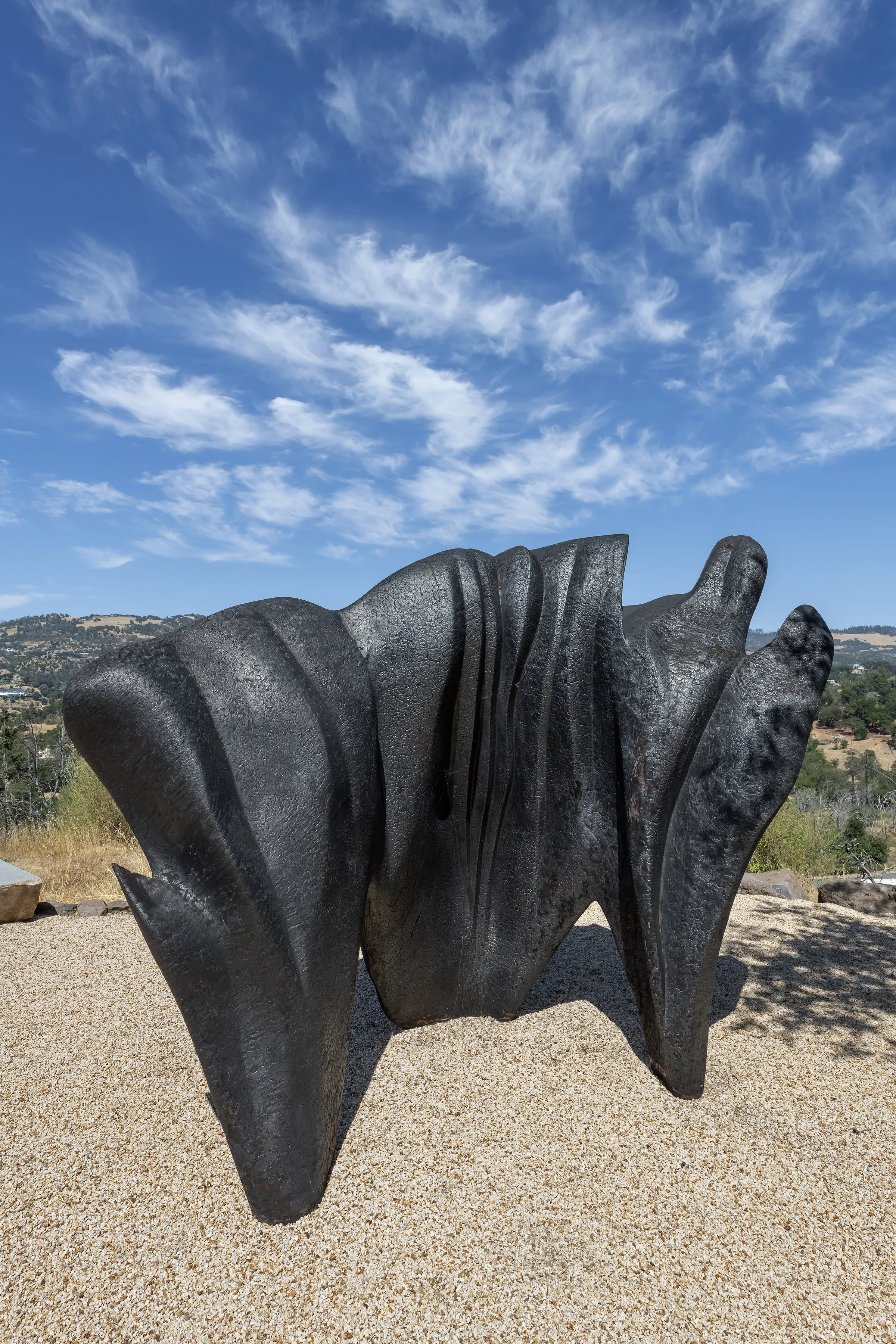 Santa Rosa Ca thumbnail 33