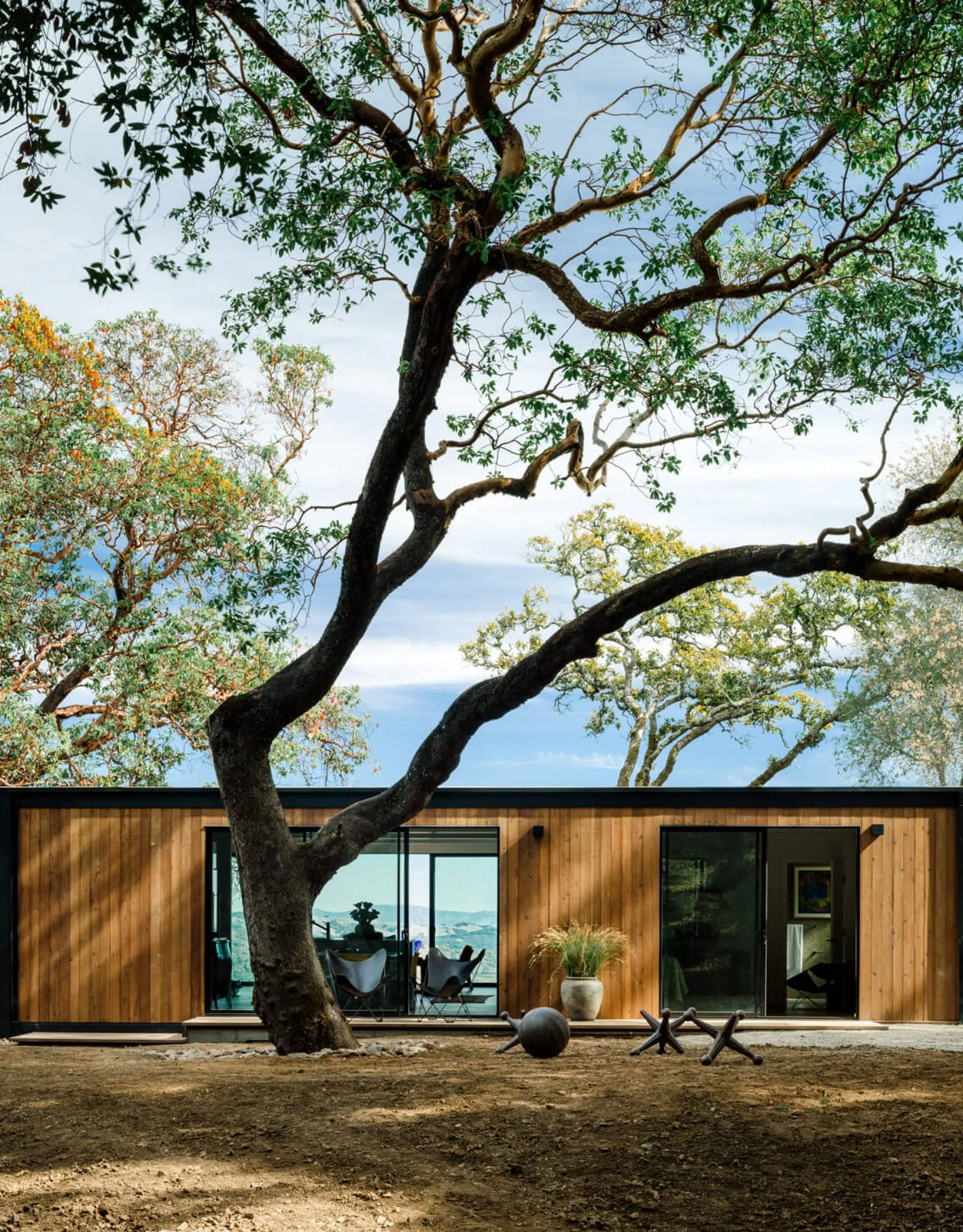 CONNECT FIVE thumbnail 5