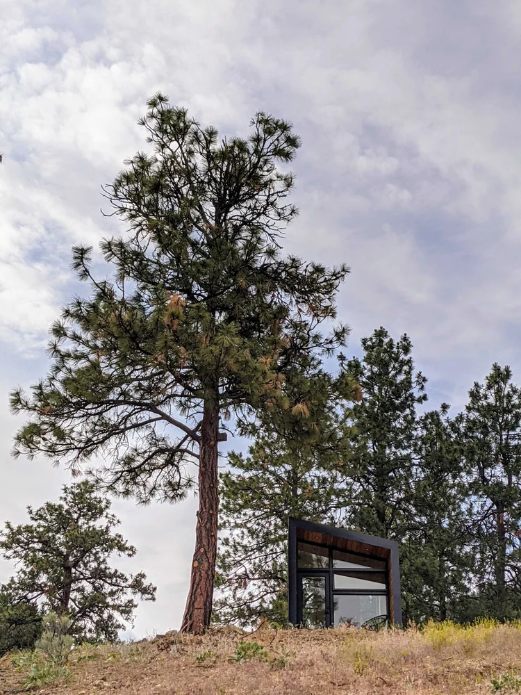 arlo mini thumbnail 5