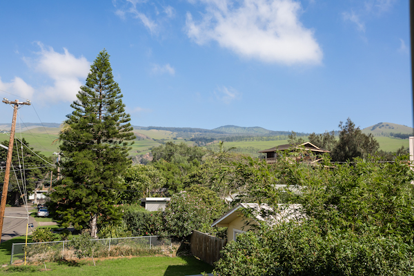 Paniola thumbnail 10