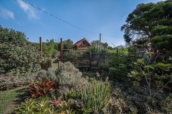 Paniola thumbnail 11