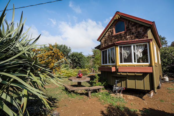 Paniola thumbnail 15