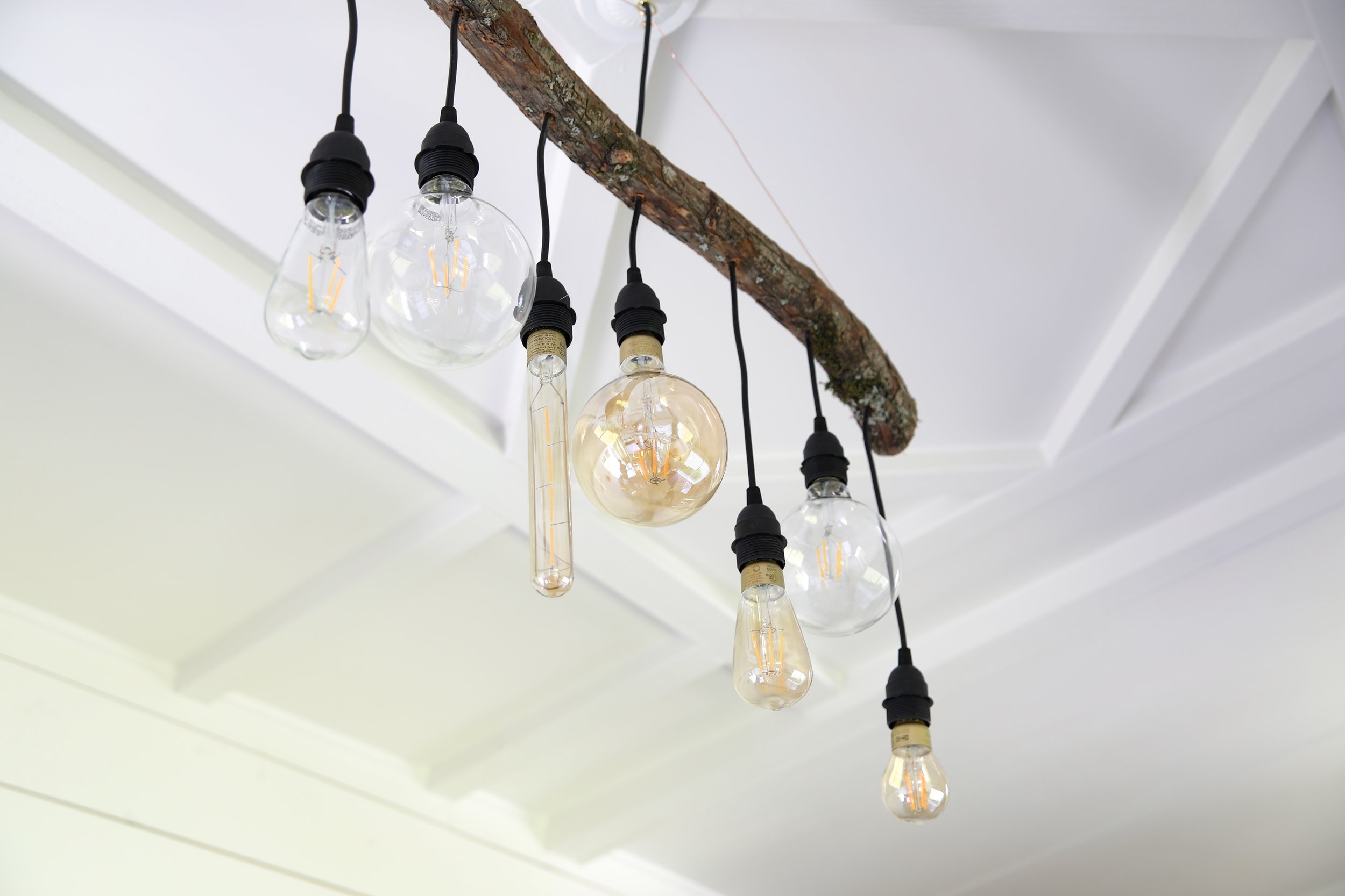 HOMESTEADER thumbnail 13