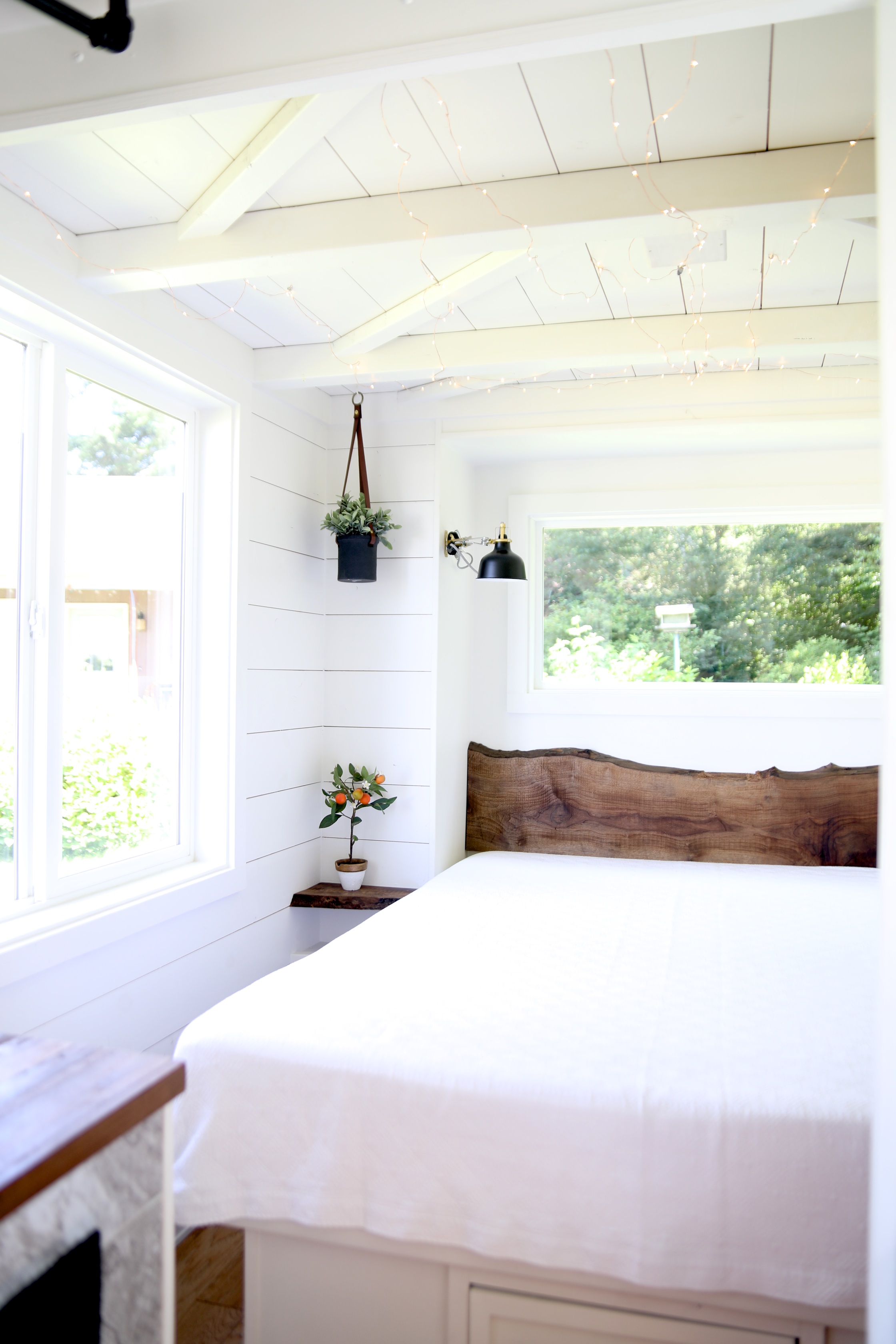 HOMESTEADER thumbnail 16