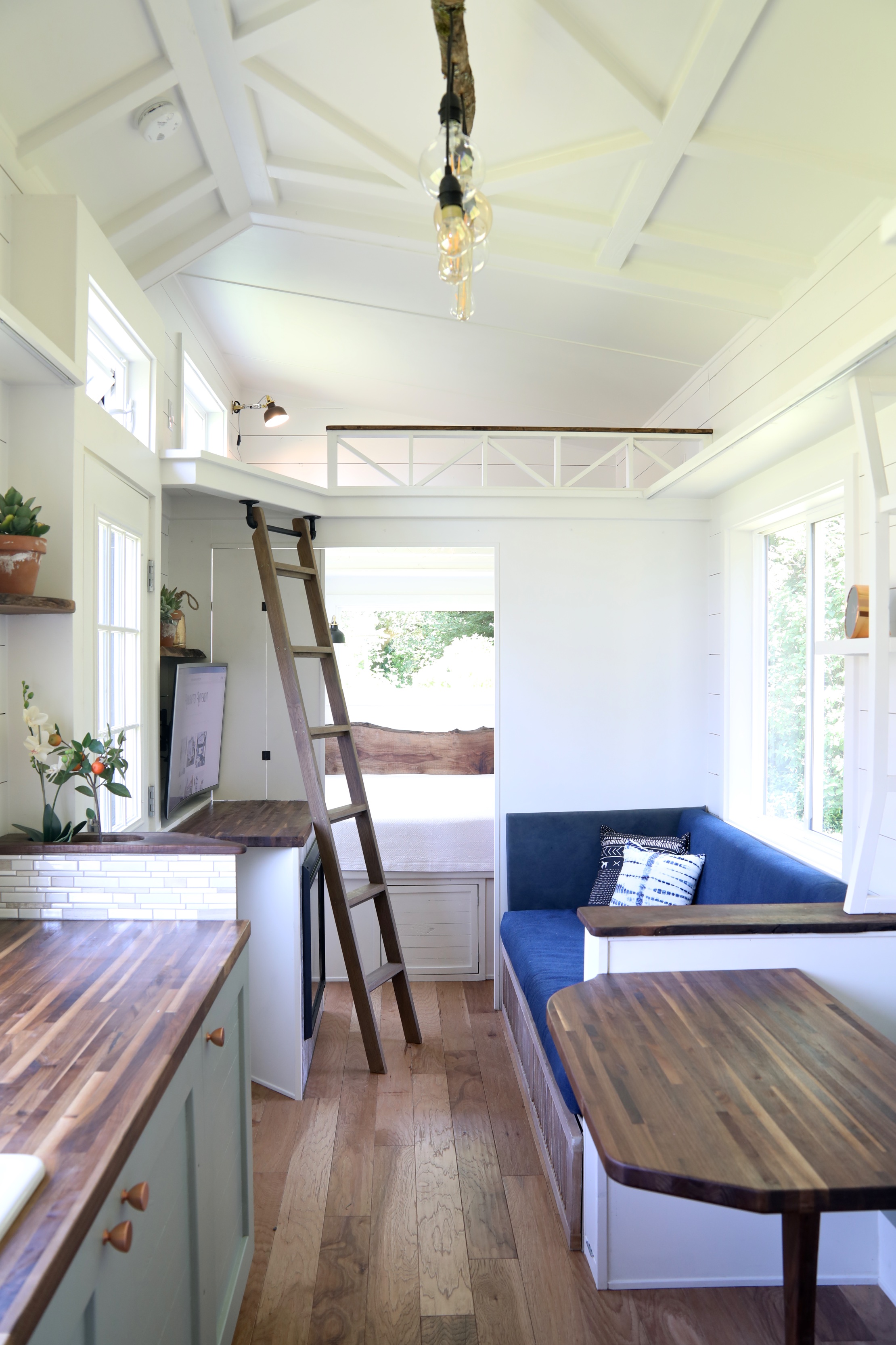 HOMESTEADER thumbnail 4