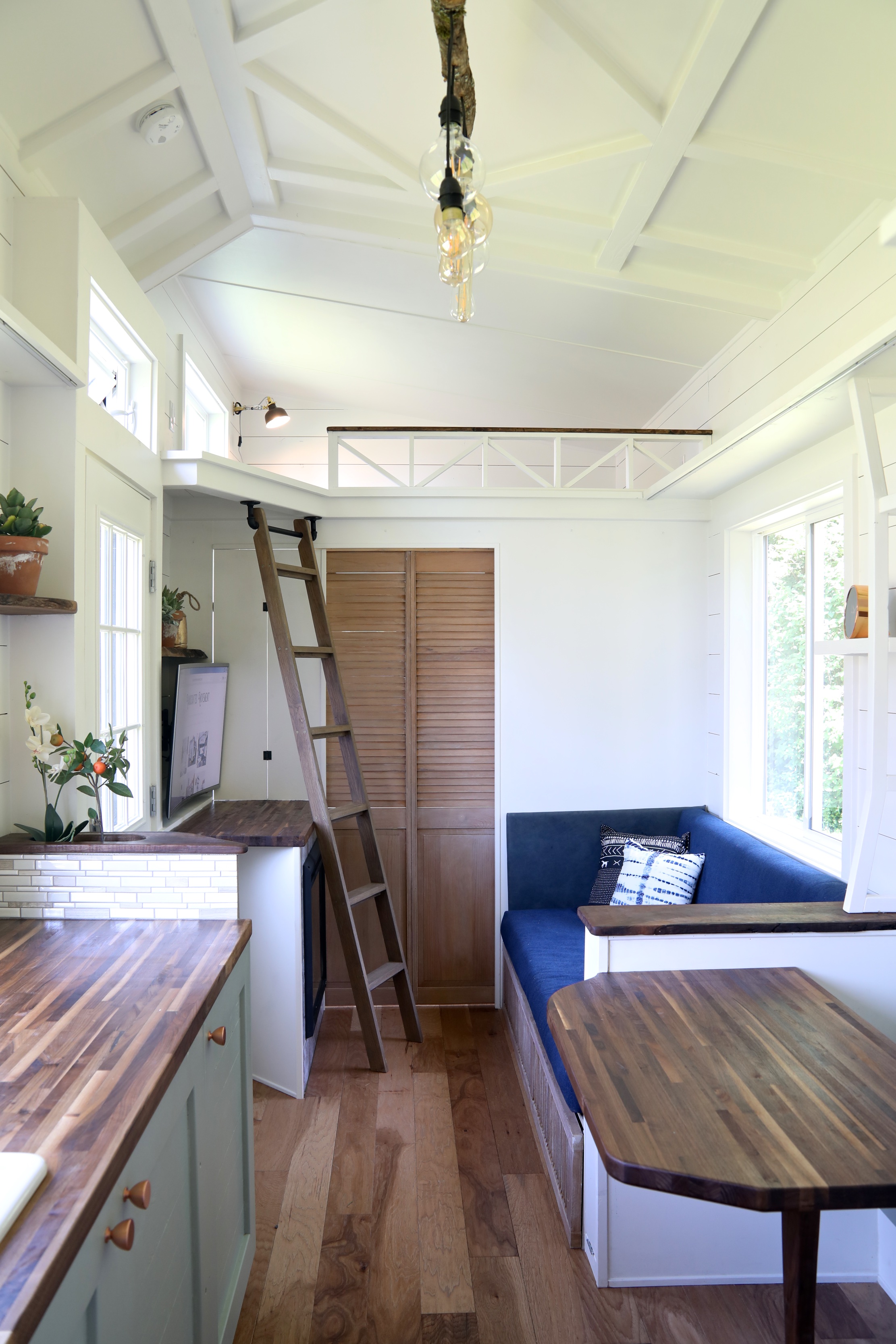 HOMESTEADER thumbnail 5