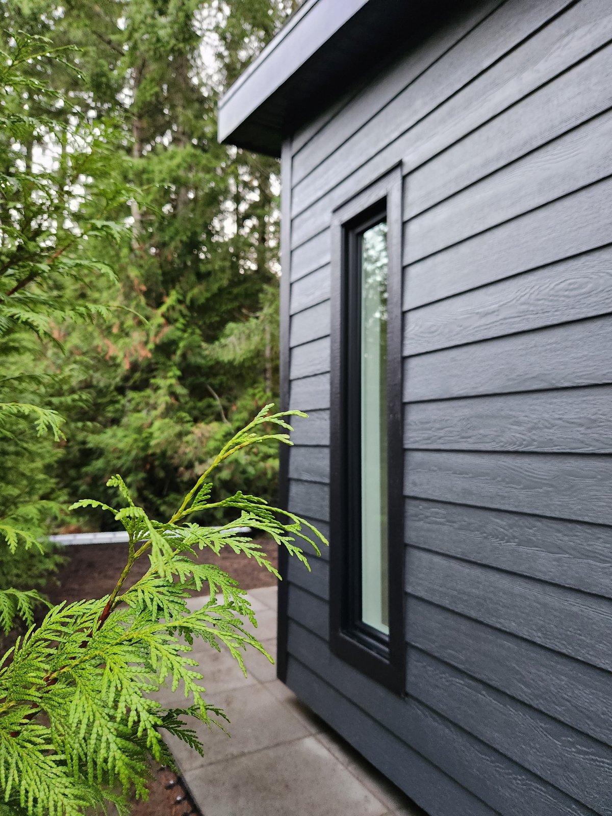 The Cedar thumbnail 13