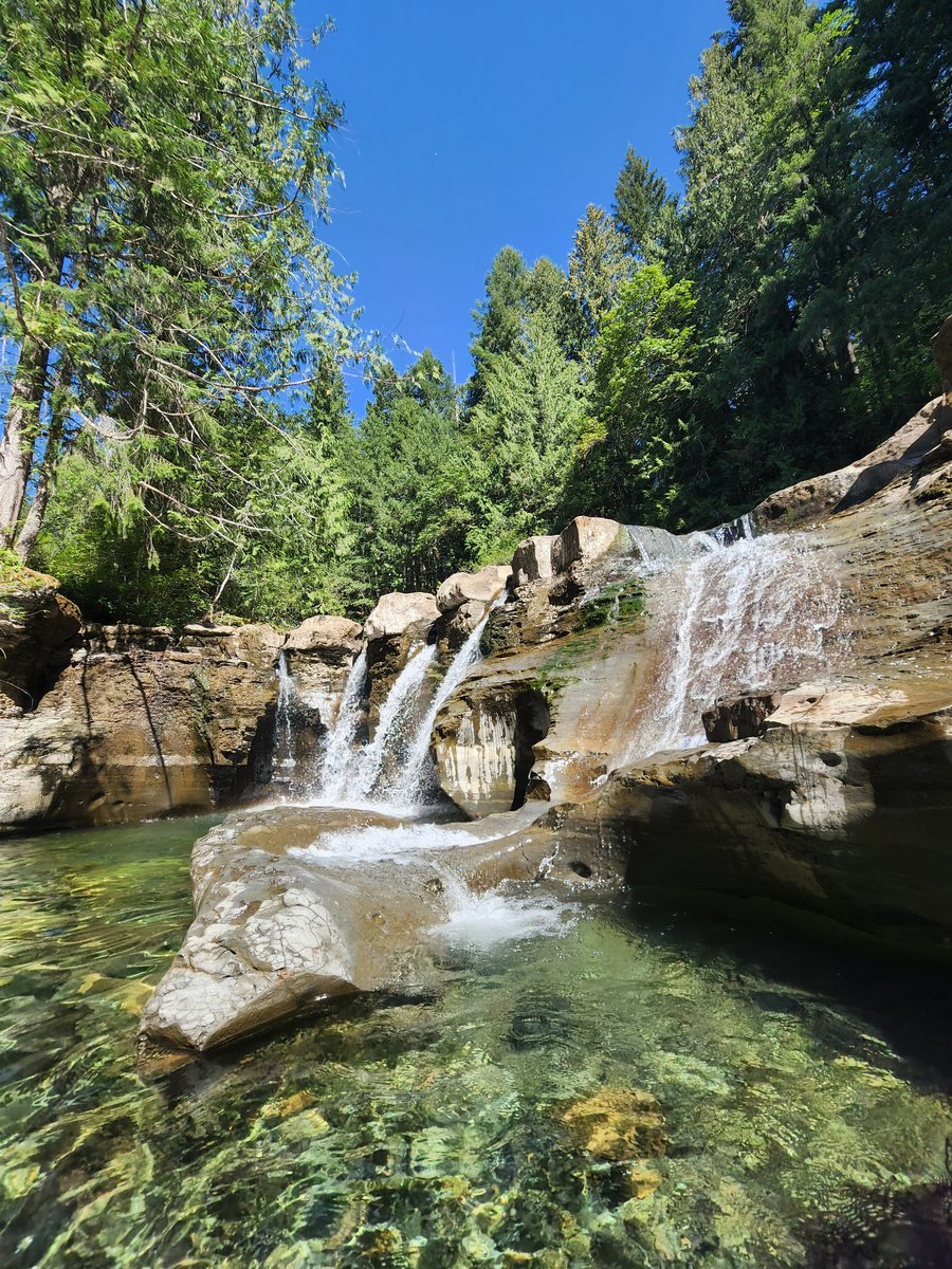 The Cedar thumbnail 14