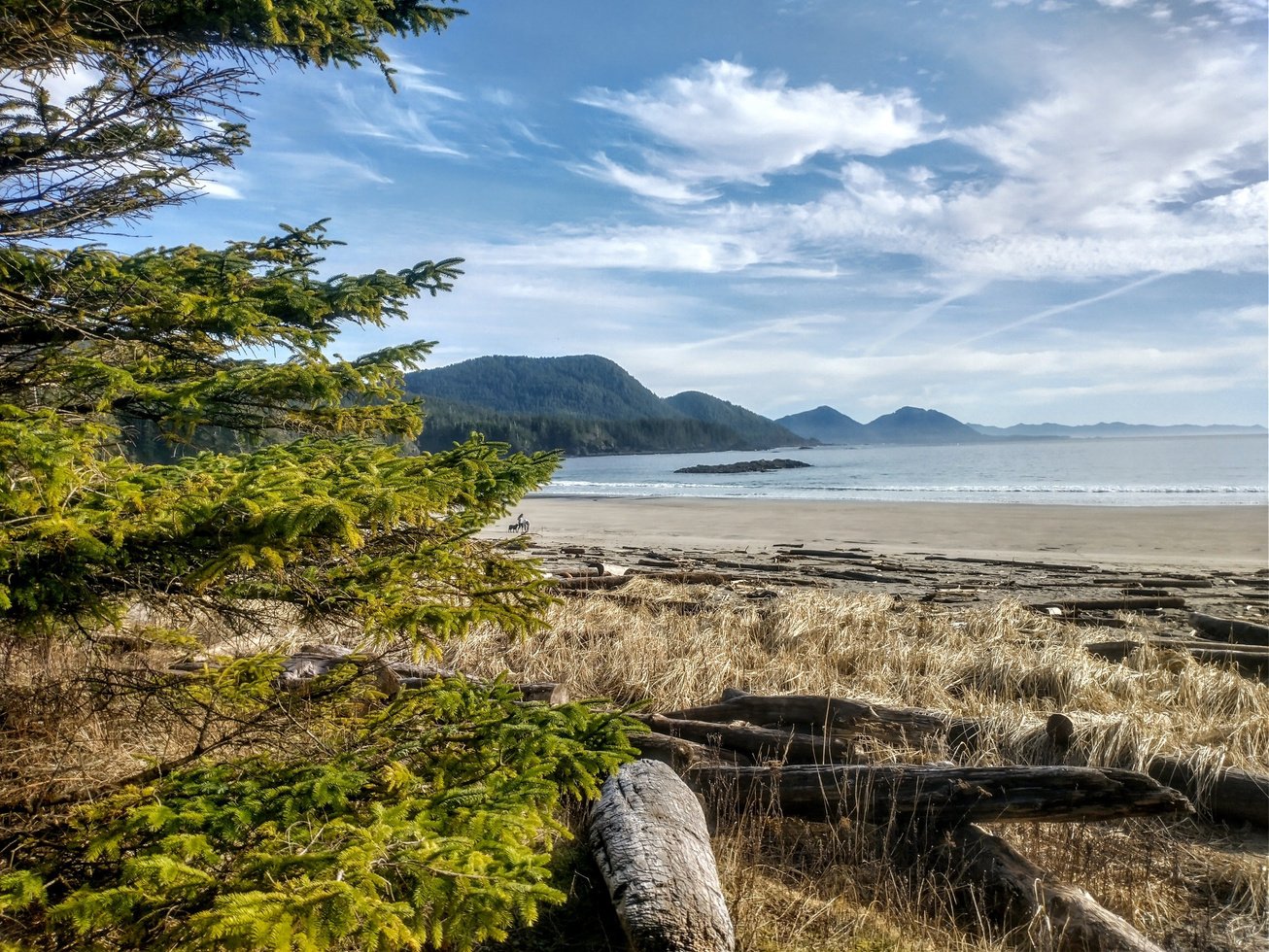 The Cedar thumbnail 16