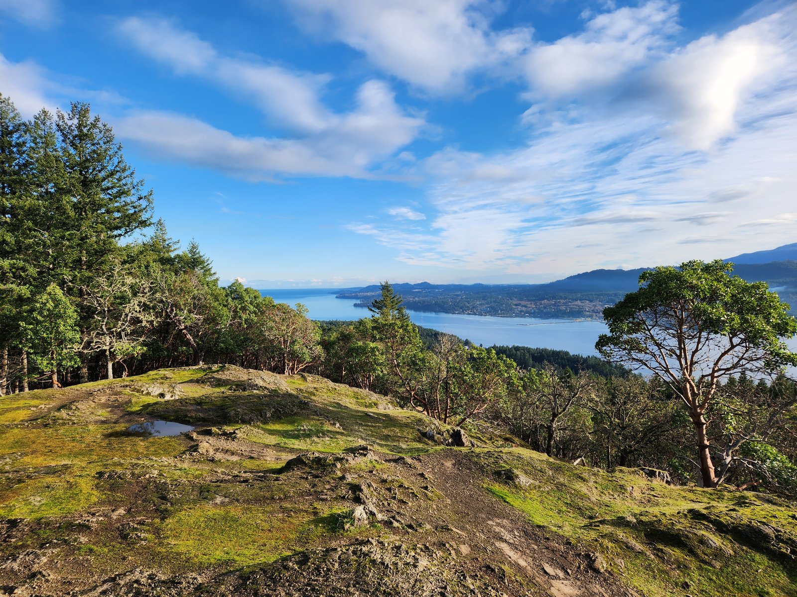 The Cedar thumbnail 22