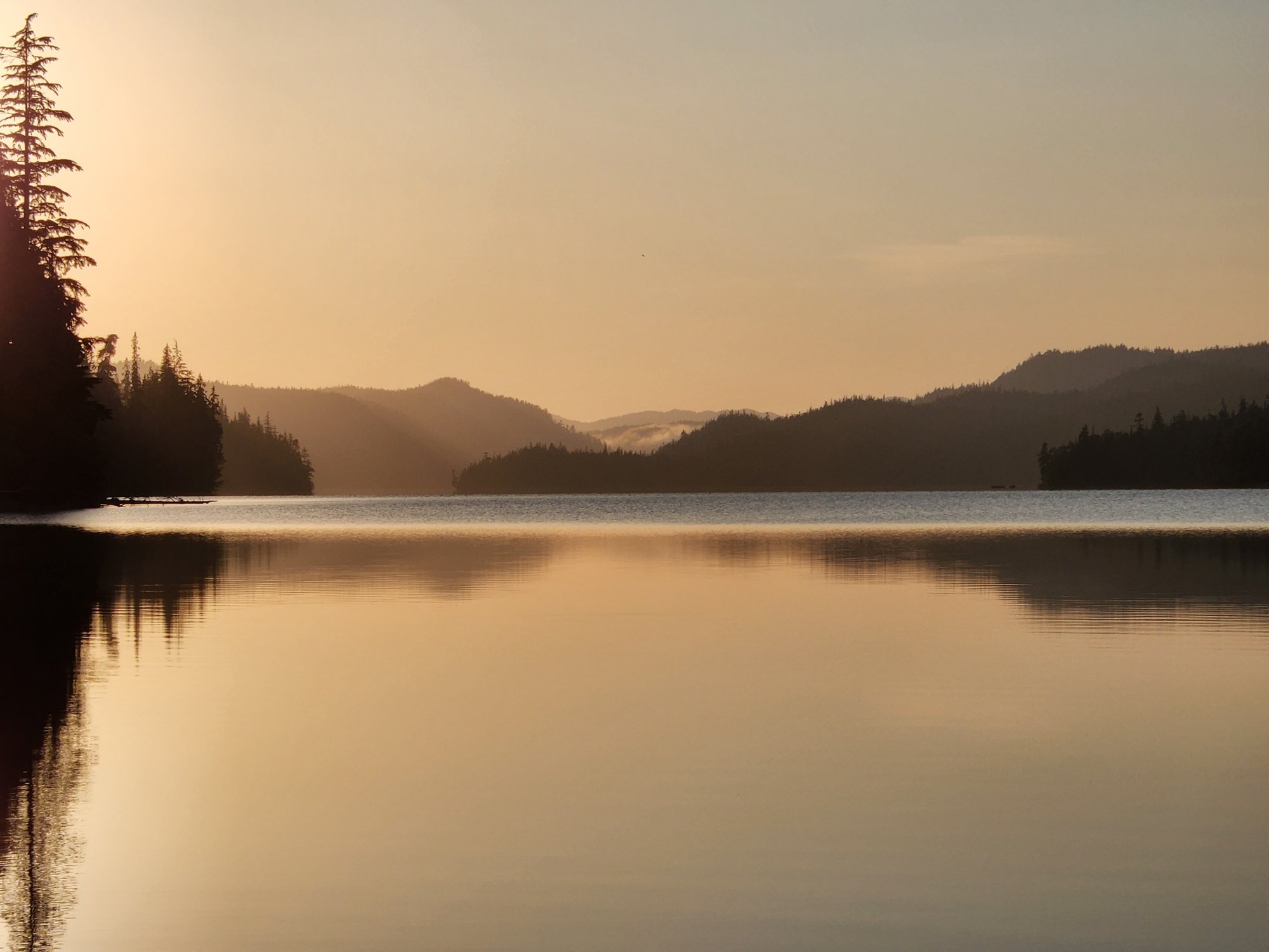 The Hemlock thumbnail 7