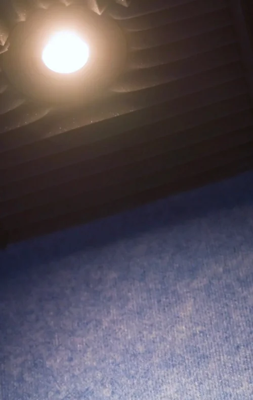 The Twelve thumbnail 21