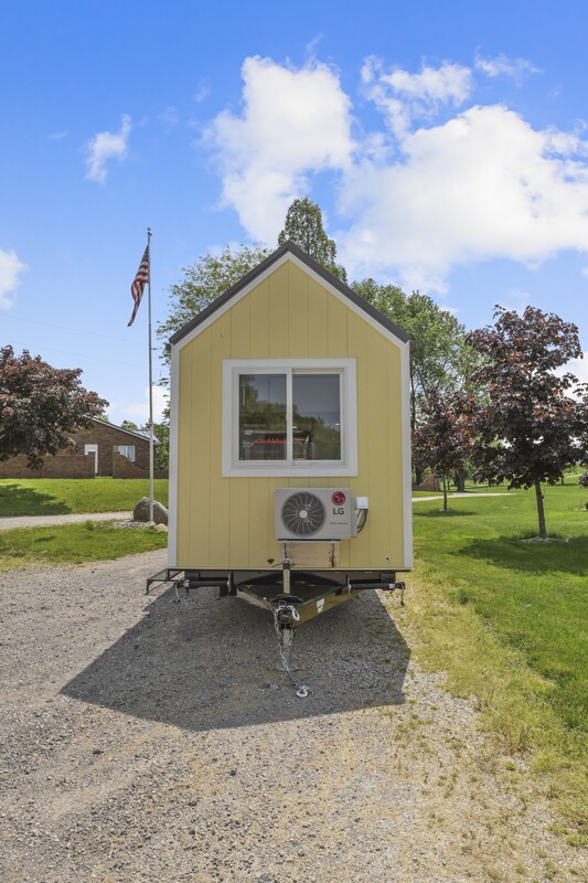 BUTTERCUP thumbnail 14