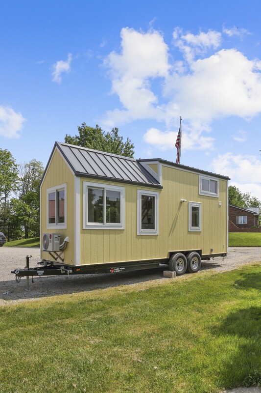 BUTTERCUP thumbnail 15