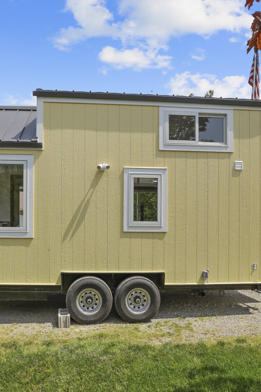 BUTTERCUP thumbnail 16