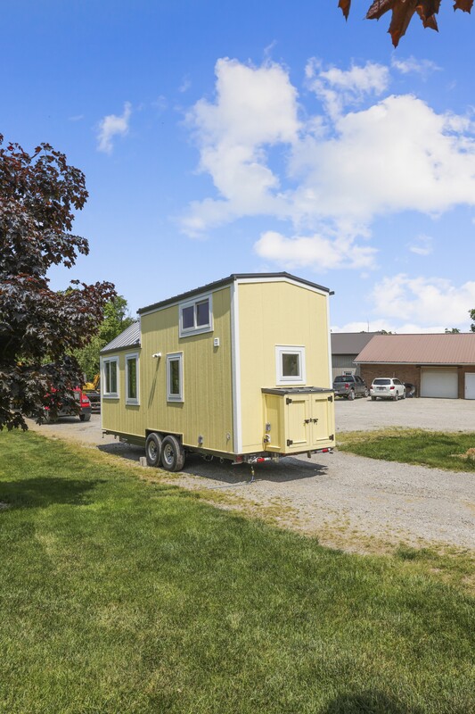 BUTTERCUP thumbnail 17