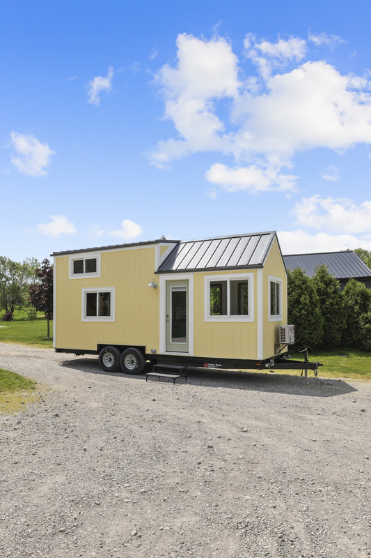 BUTTERCUP thumbnail 19