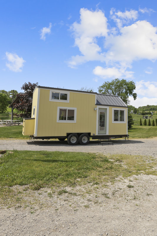 BUTTERCUP thumbnail 20