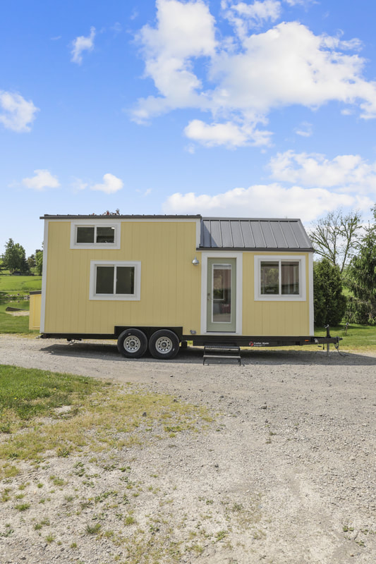 BUTTERCUP thumbnail 21