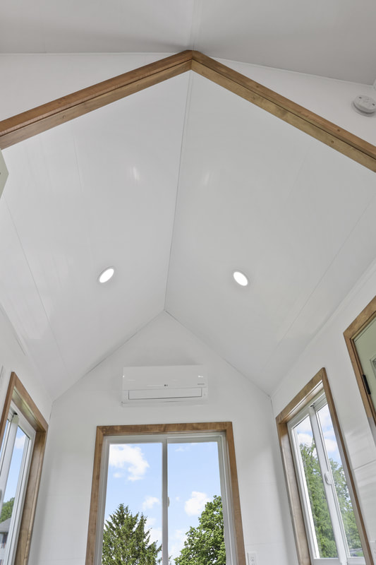 BUTTERCUP thumbnail 44