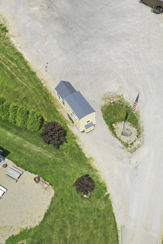 BUTTERCUP thumbnail 83