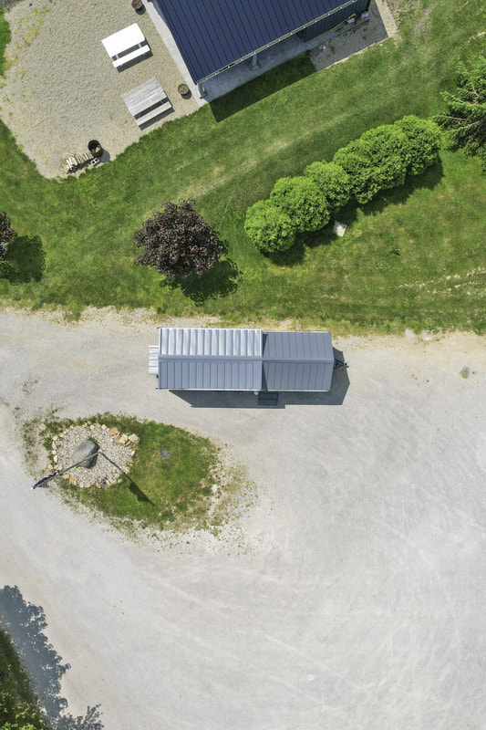 BUTTERCUP thumbnail 84