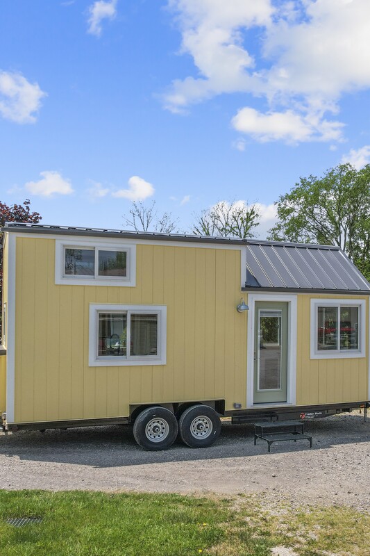 BUTTERCUP thumbnail 88