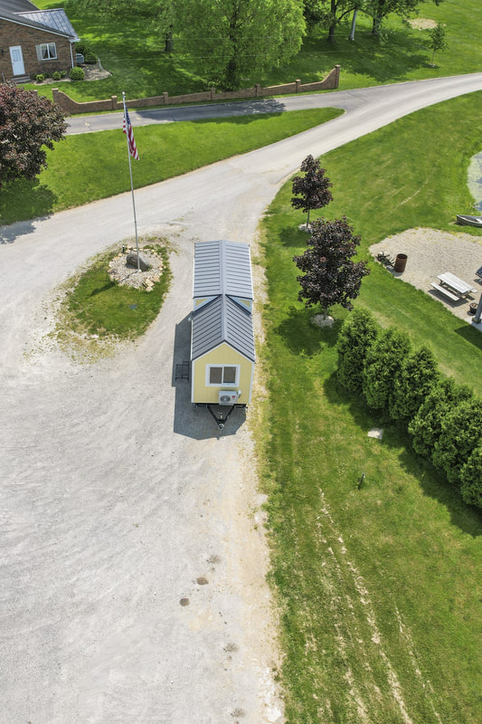 BUTTERCUP thumbnail 89