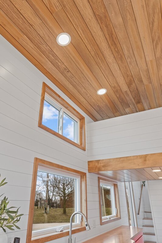 Honeylion thumbnail 89